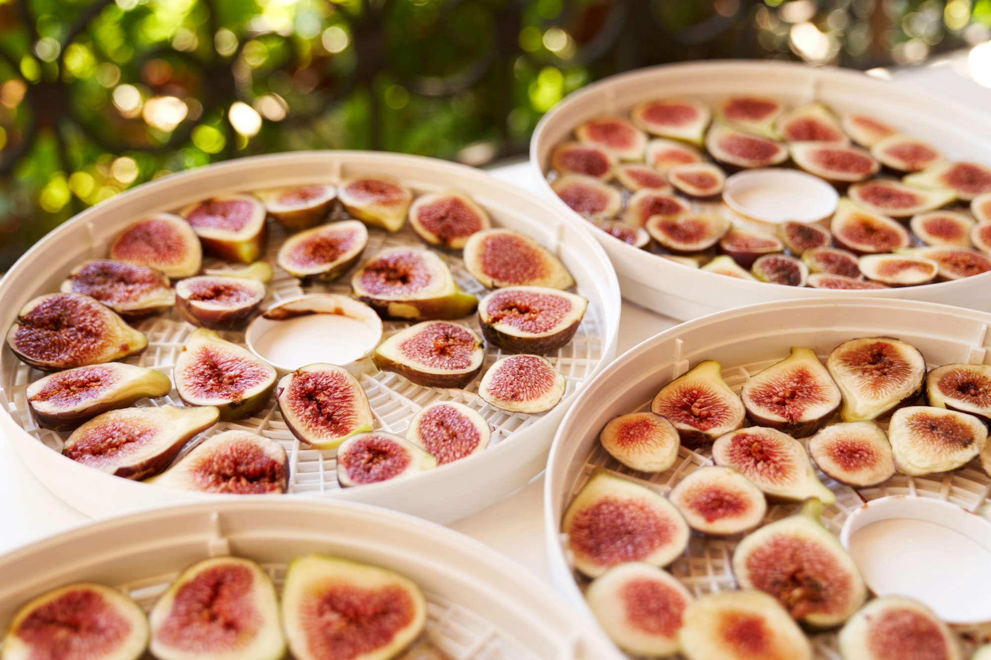 Fruit drying process on dehydrator plates